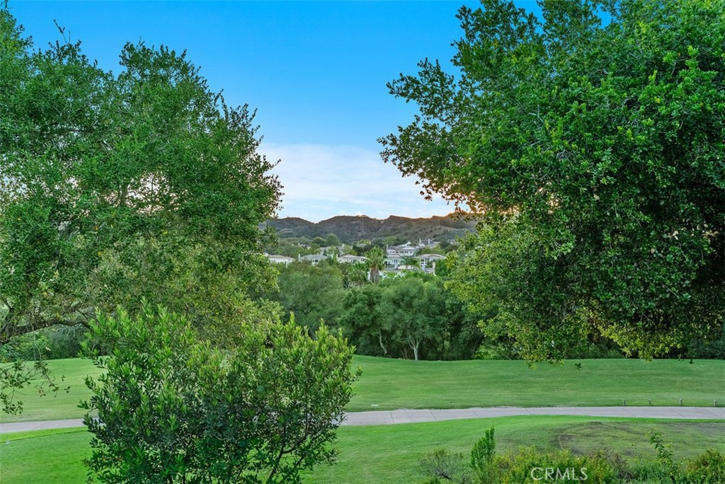 3 Canada Oaks
