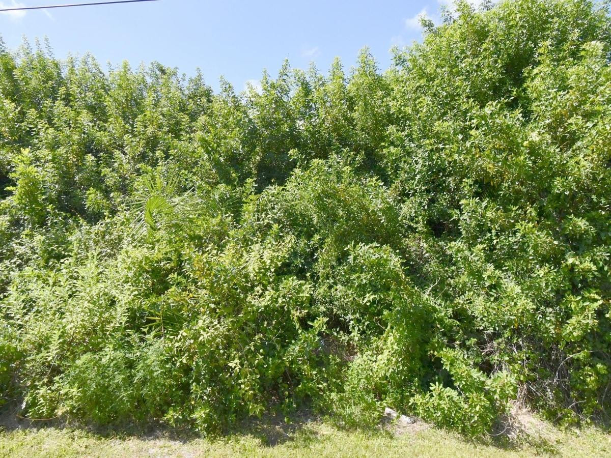 4273 SW Rosser Boulevard, Port St. Lucie