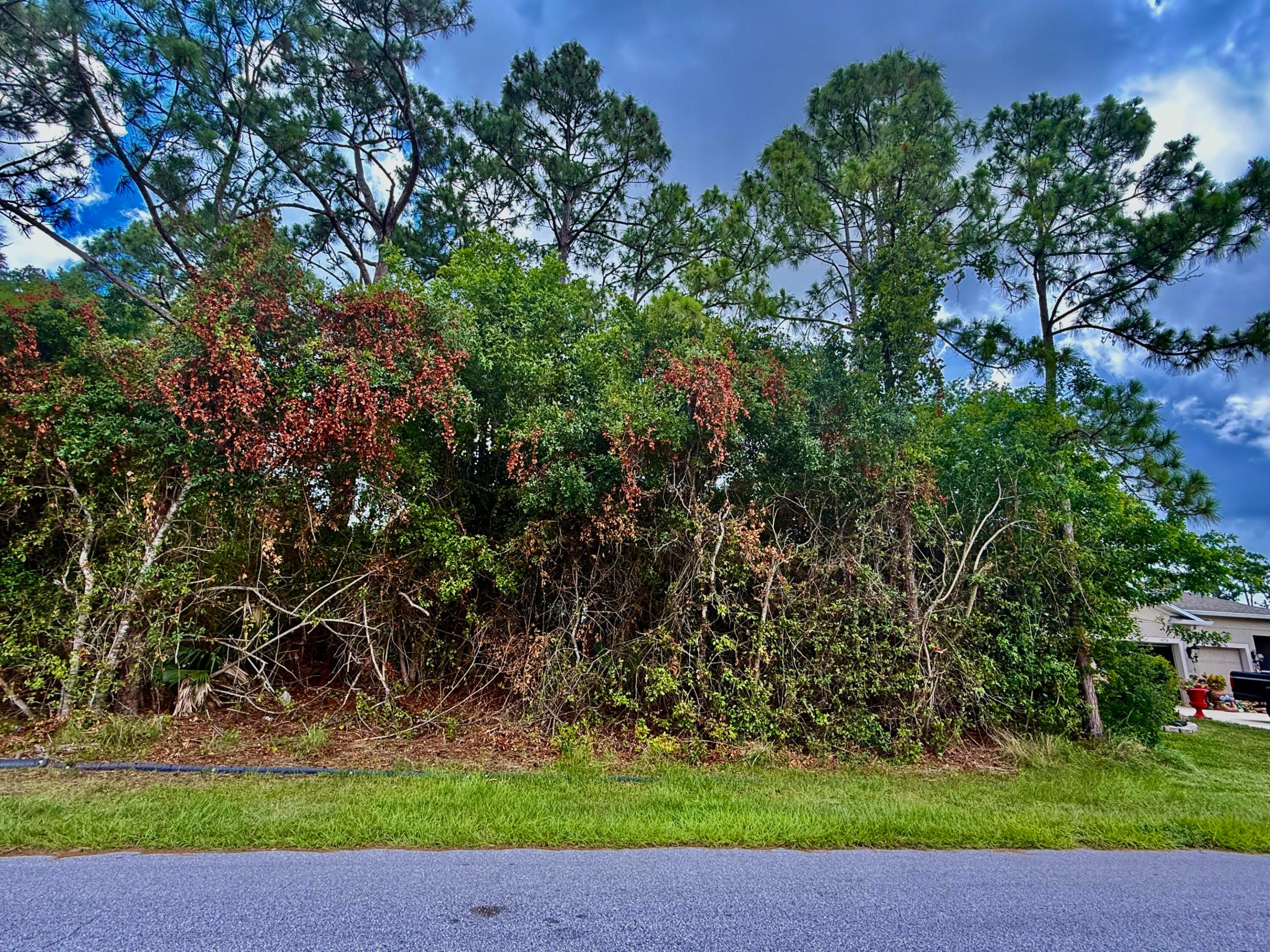 4174 SW Batavia Street, Port St. Lucie