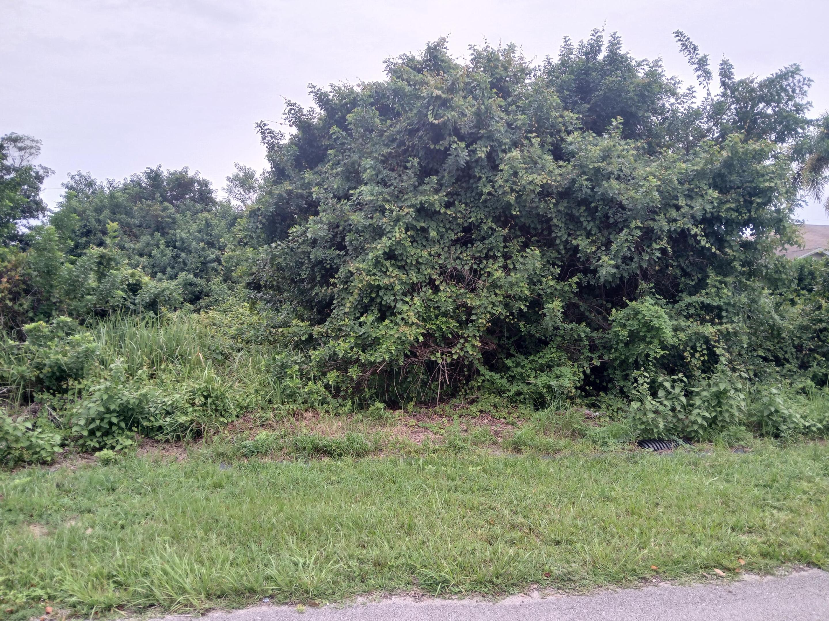 4437 SW Cacao Street, Port St. Lucie