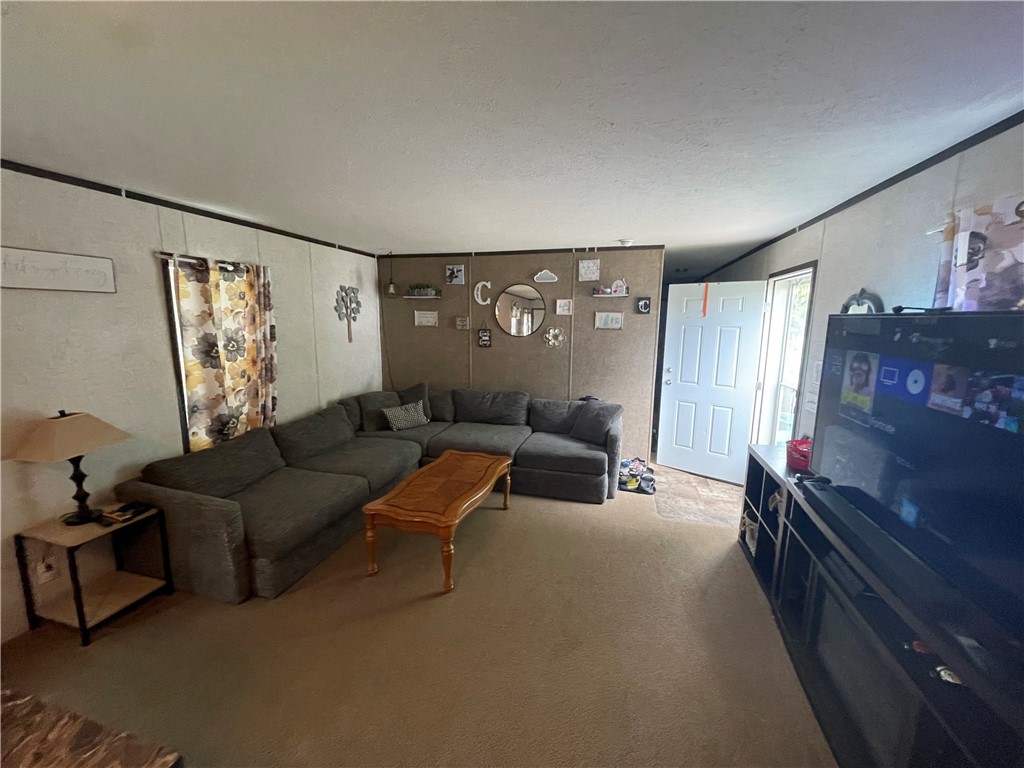 38 Carla Dr