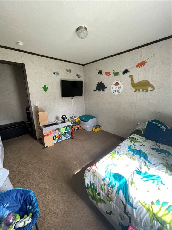 38 Carla Dr