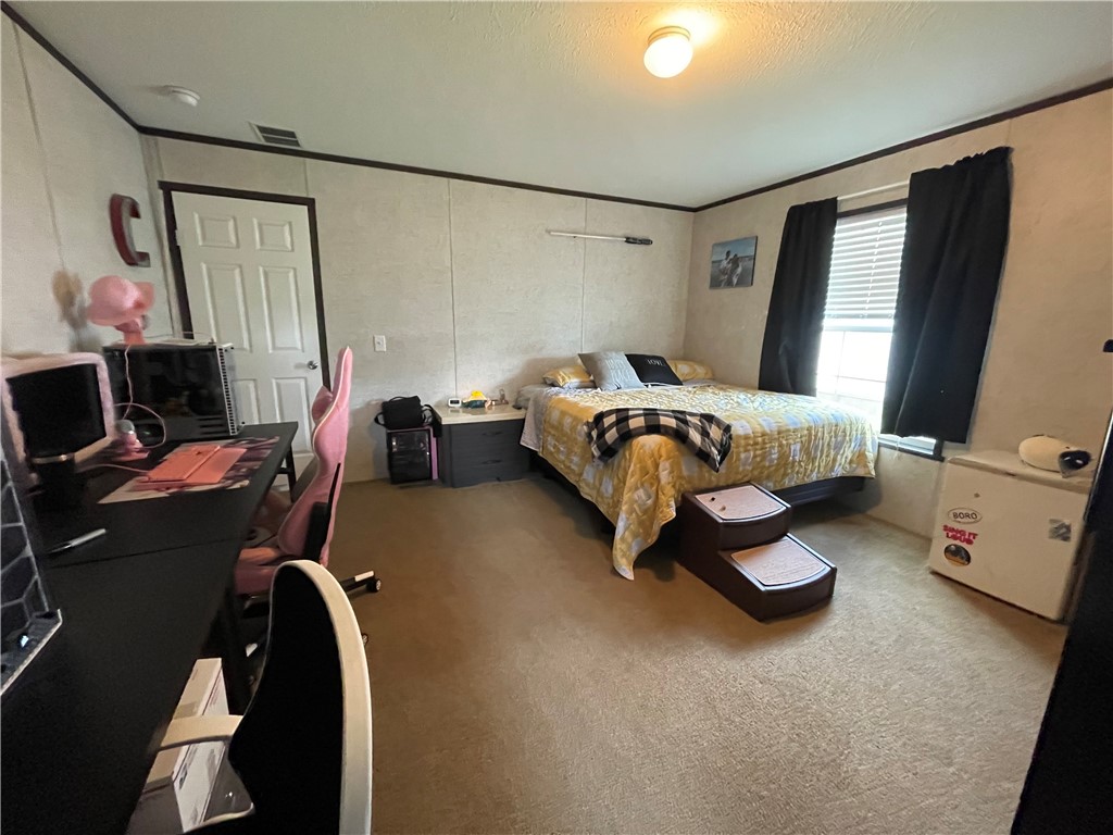 38 Carla Dr