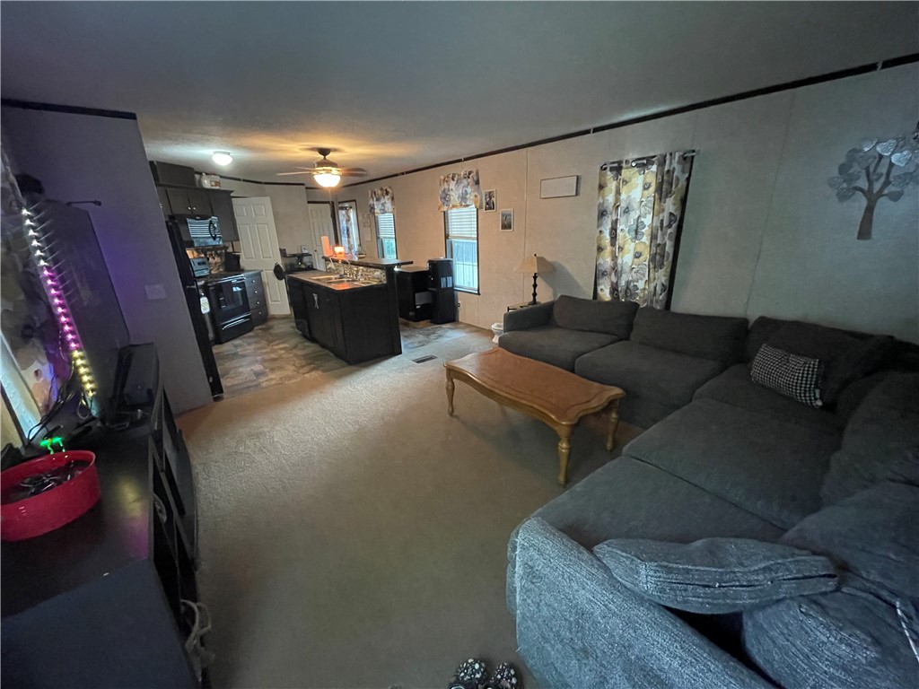 38 Carla Dr