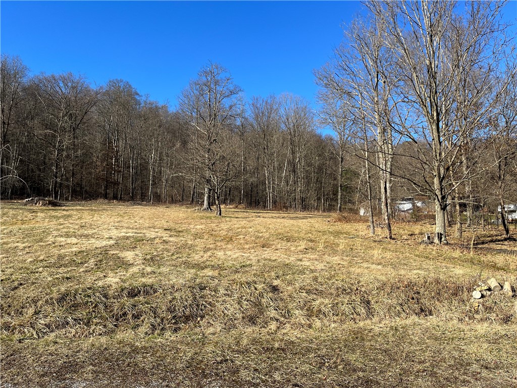 482 Service Creek Rd