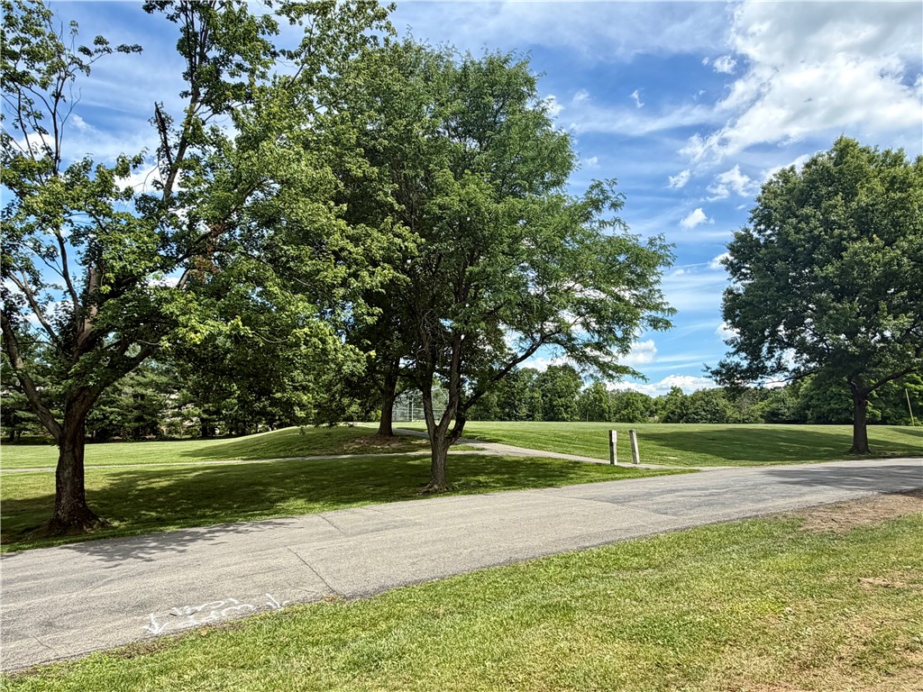 2909 Big Meadow Ct