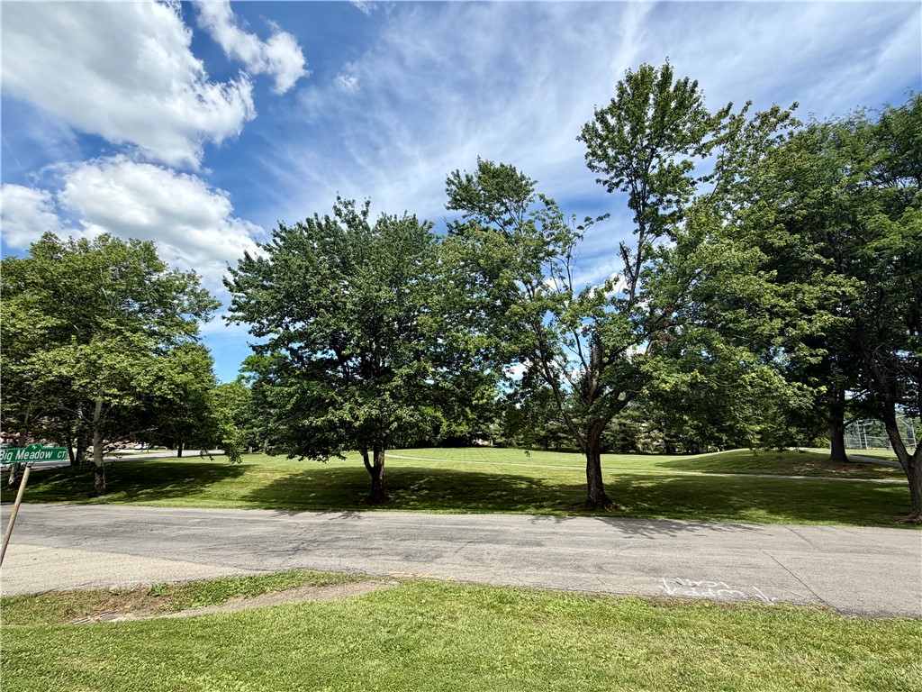 2909 Big Meadow Ct