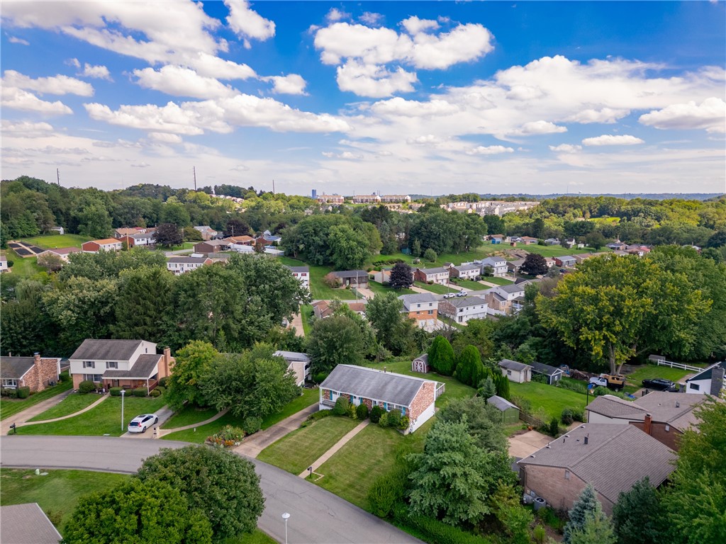 1111 Fiddleback Dr