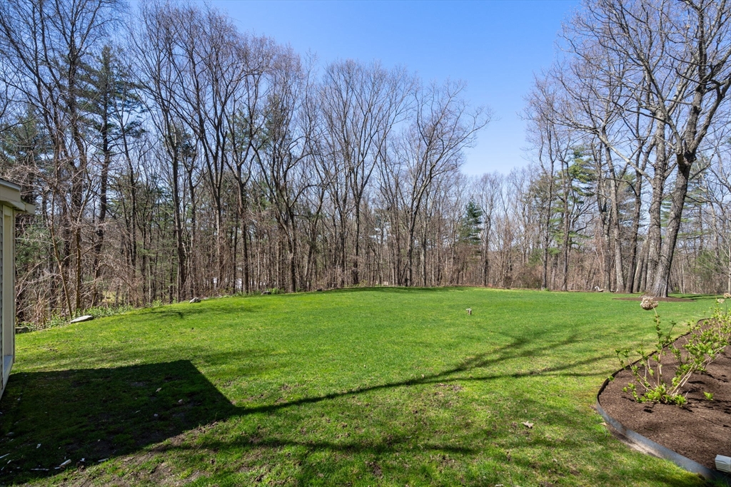 47 Brewster Rd