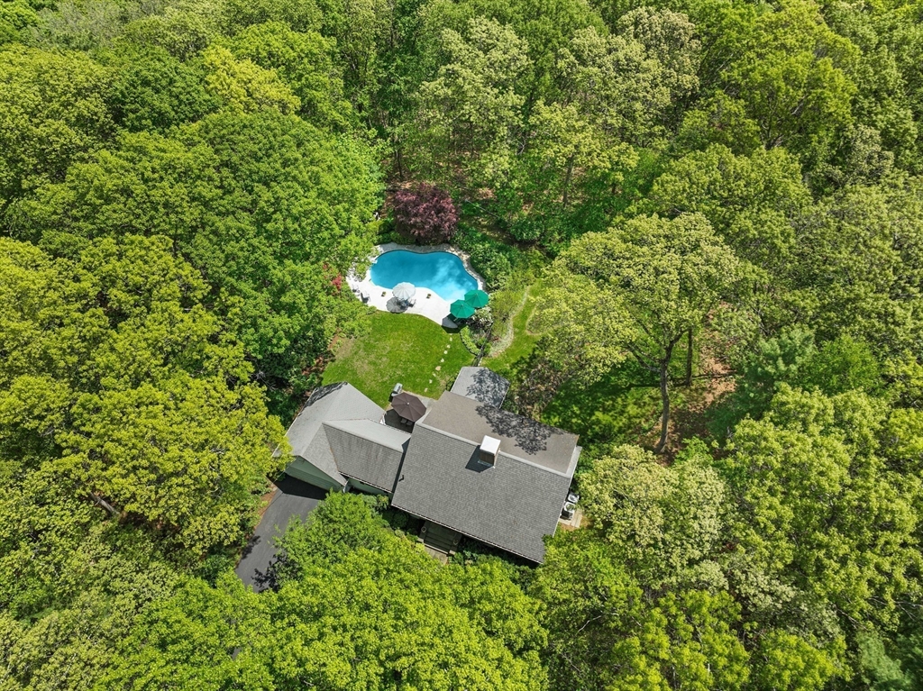 46 High Rock Road