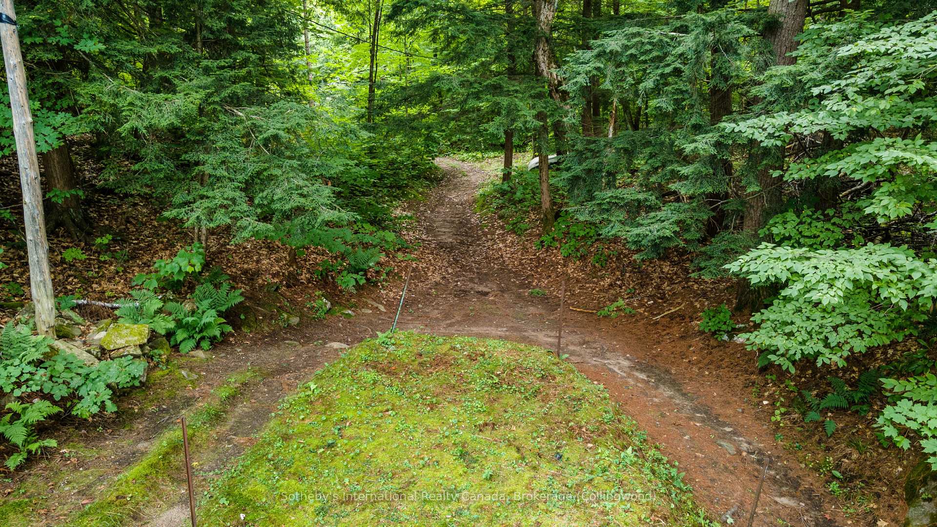 4202 GO HOME LAKE SHR N/A