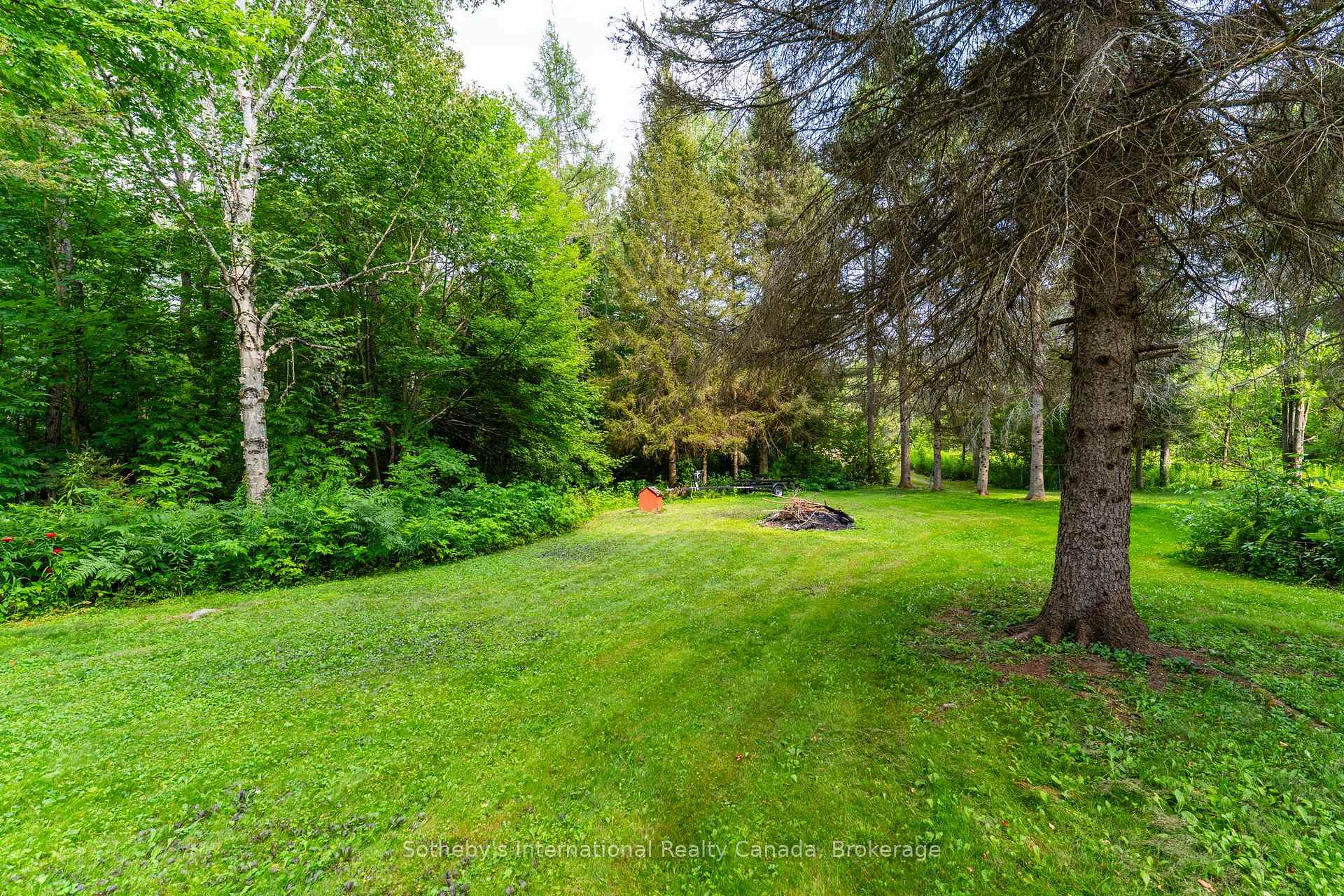 13 Pine Tree Road