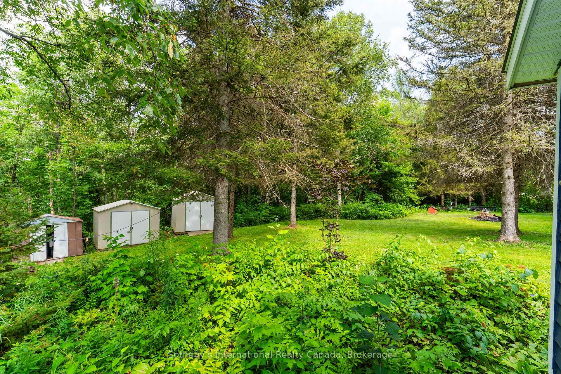 13 Pine Tree Road
