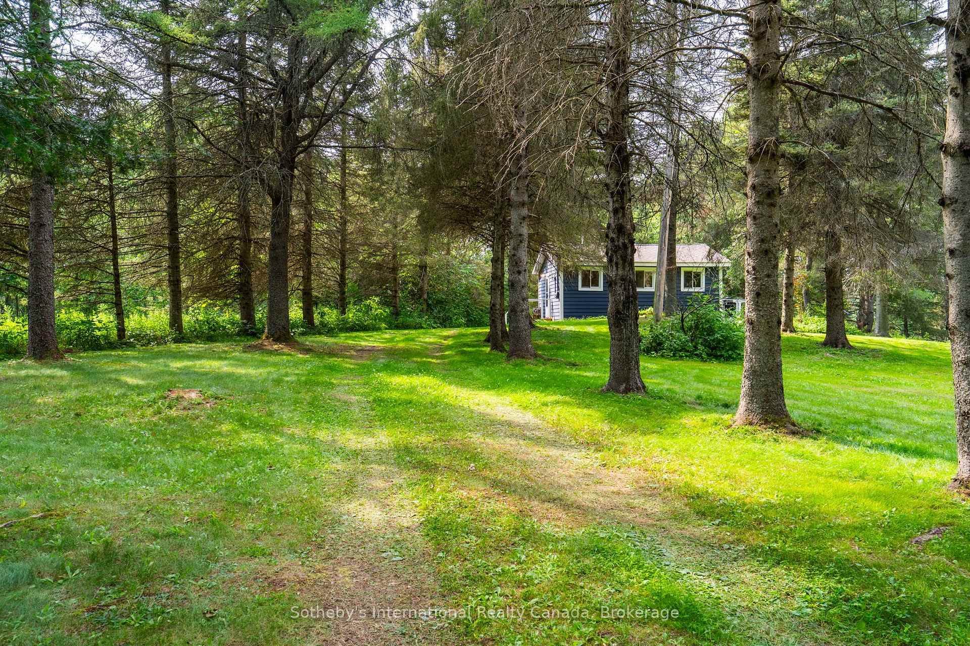 13 Pine Tree Road