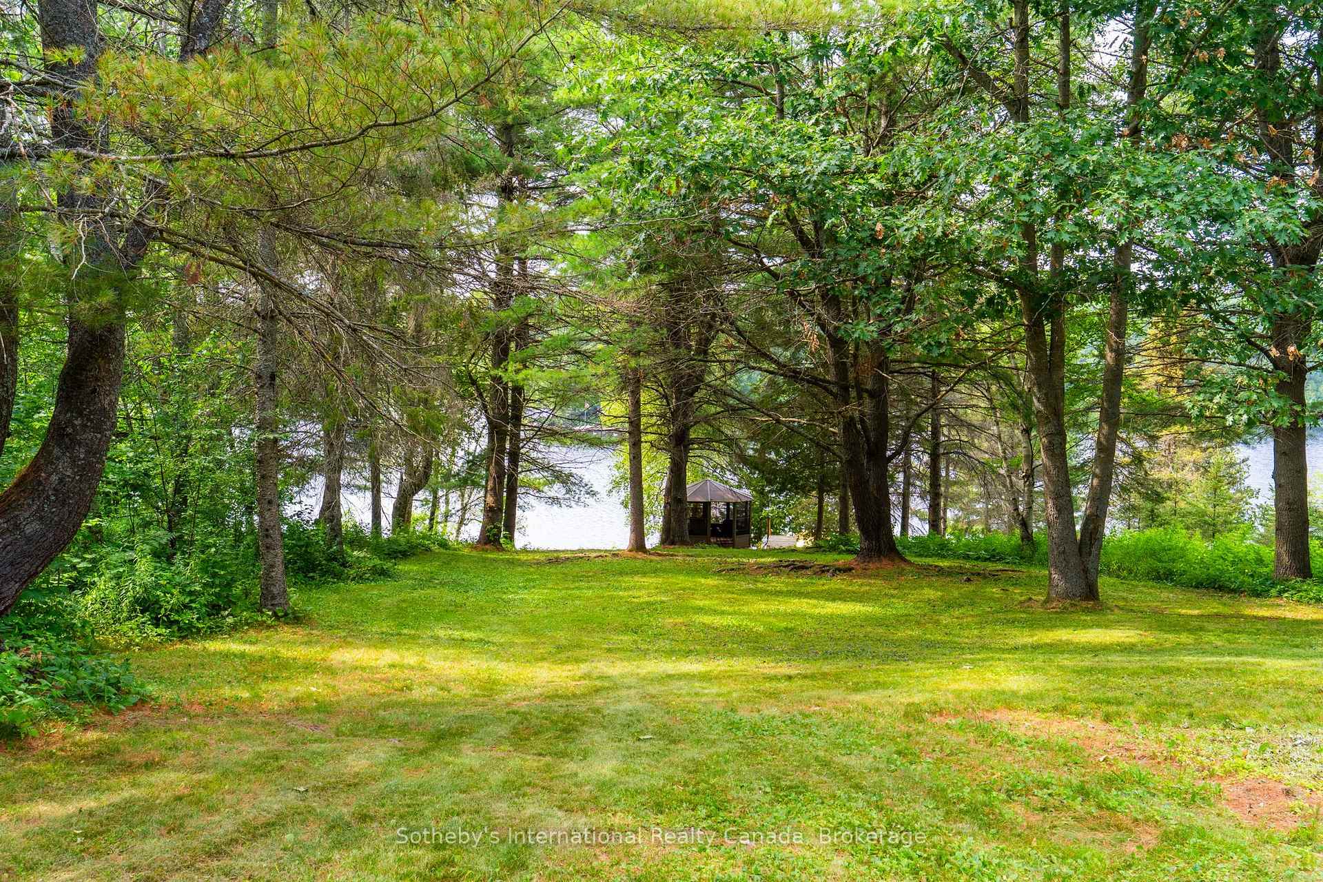 13 Pine Tree Road