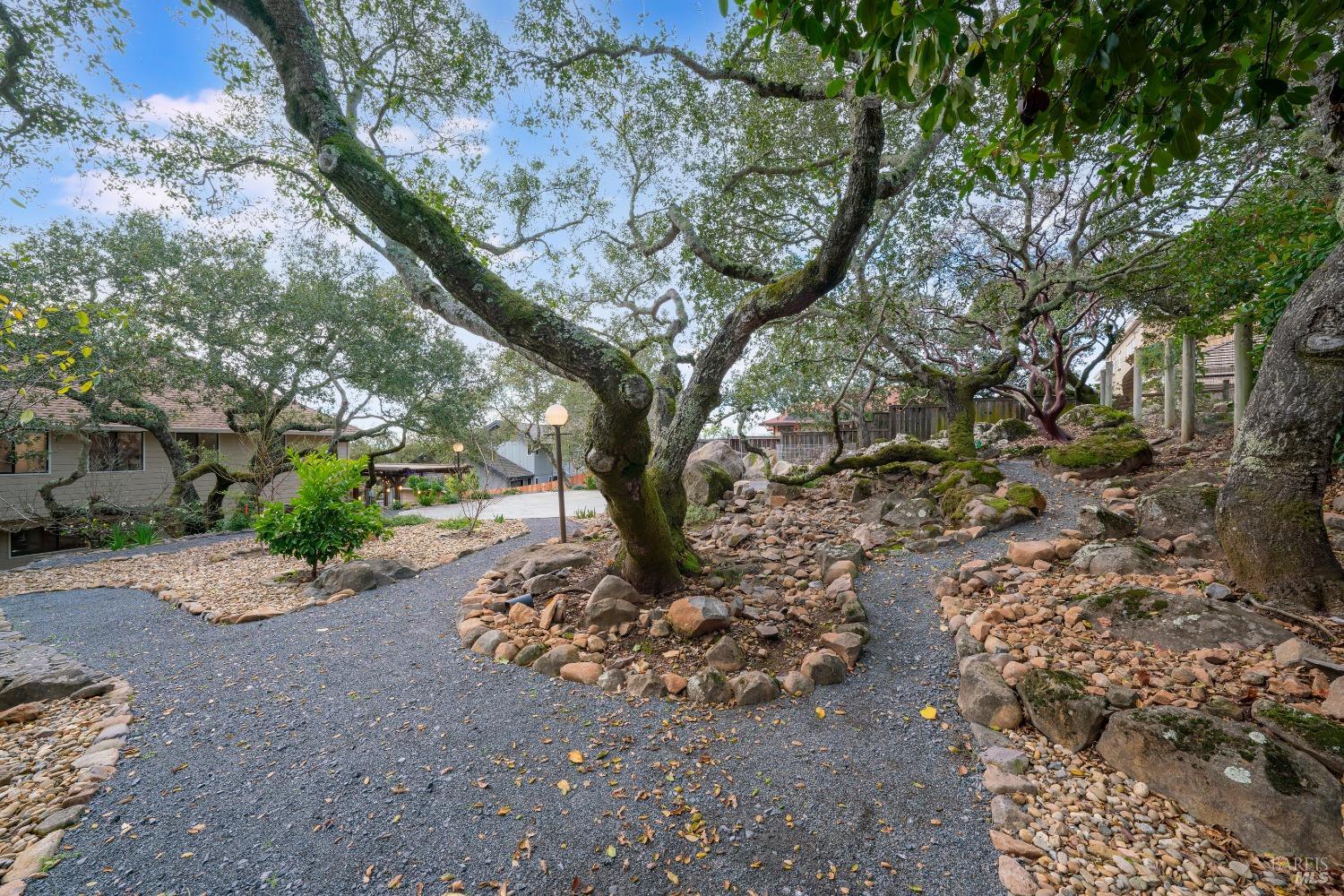 3335 Scrub Oak Avenue