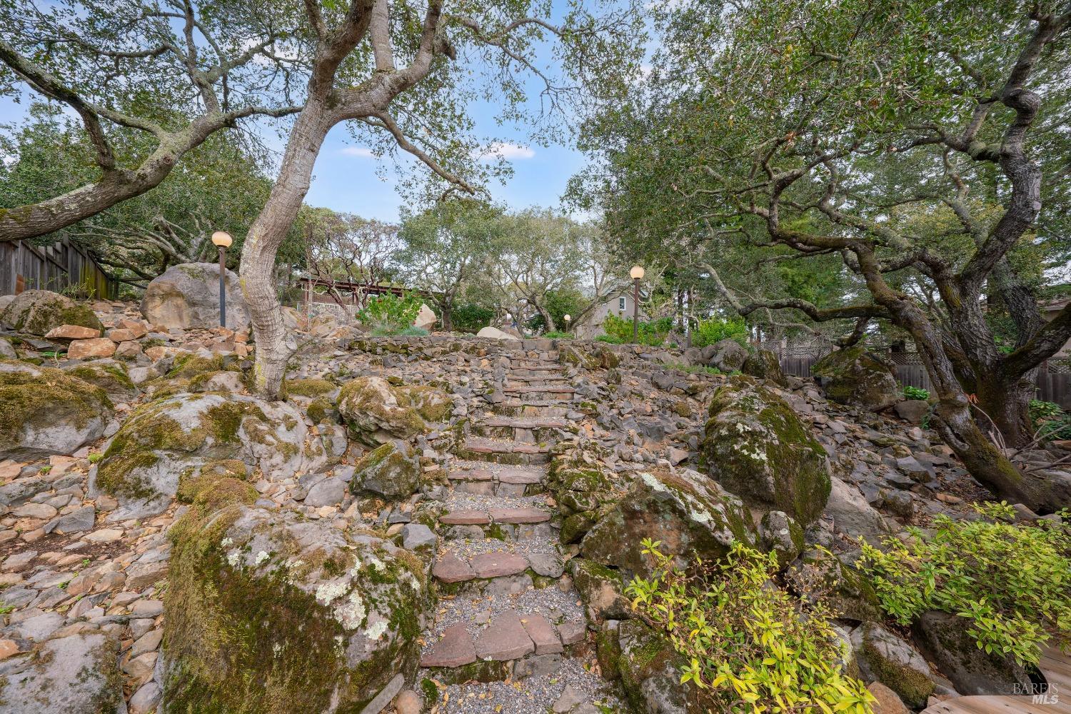 3335 Scrub Oak Avenue