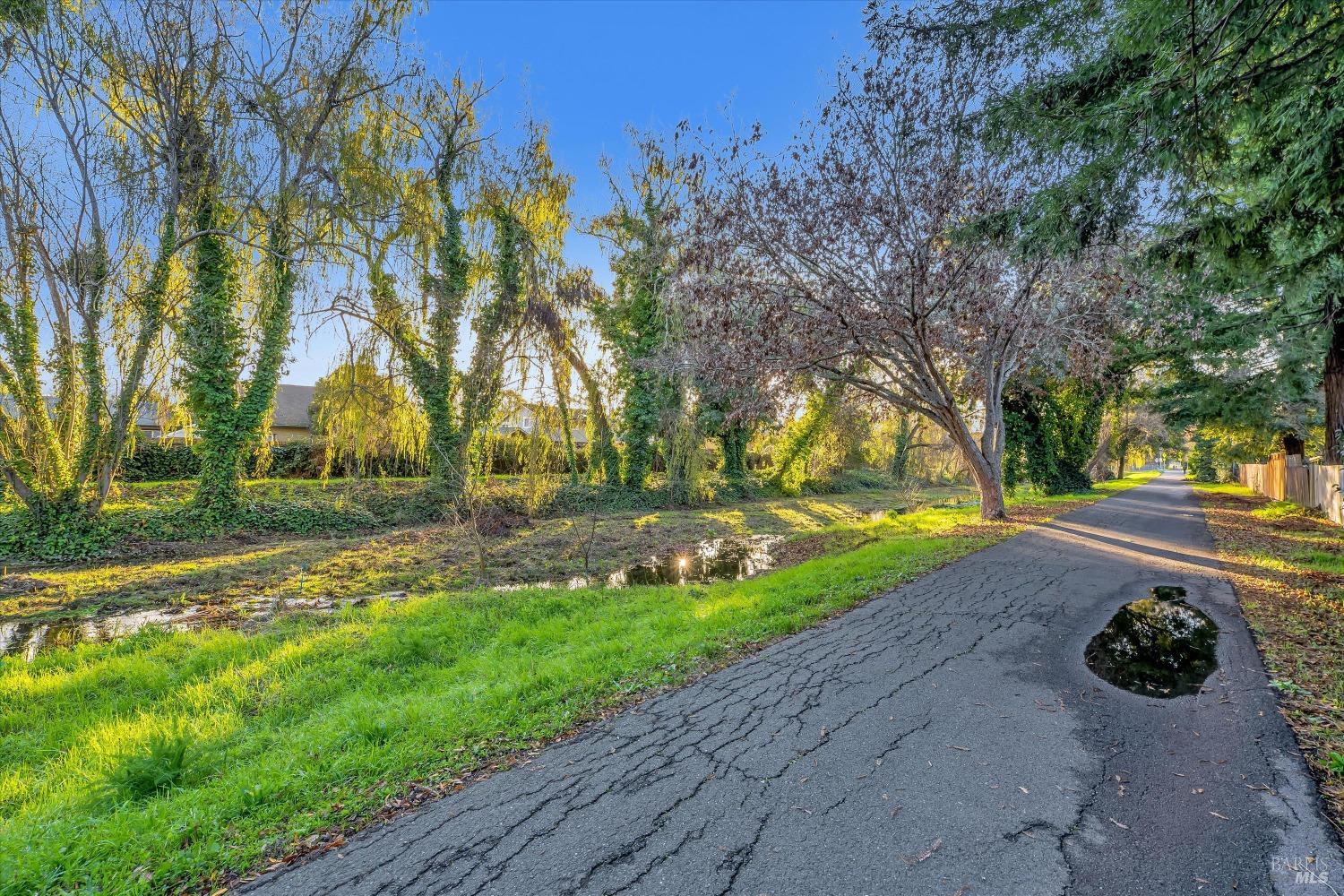 985 Copeland Creek Dr