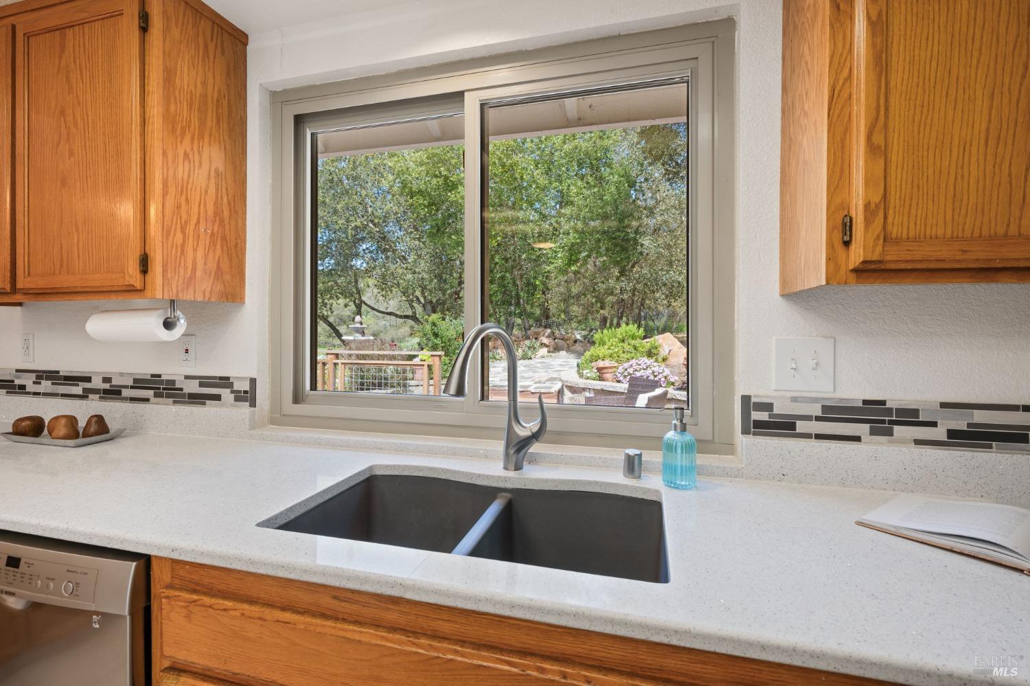 3897 Rock Springs Dr