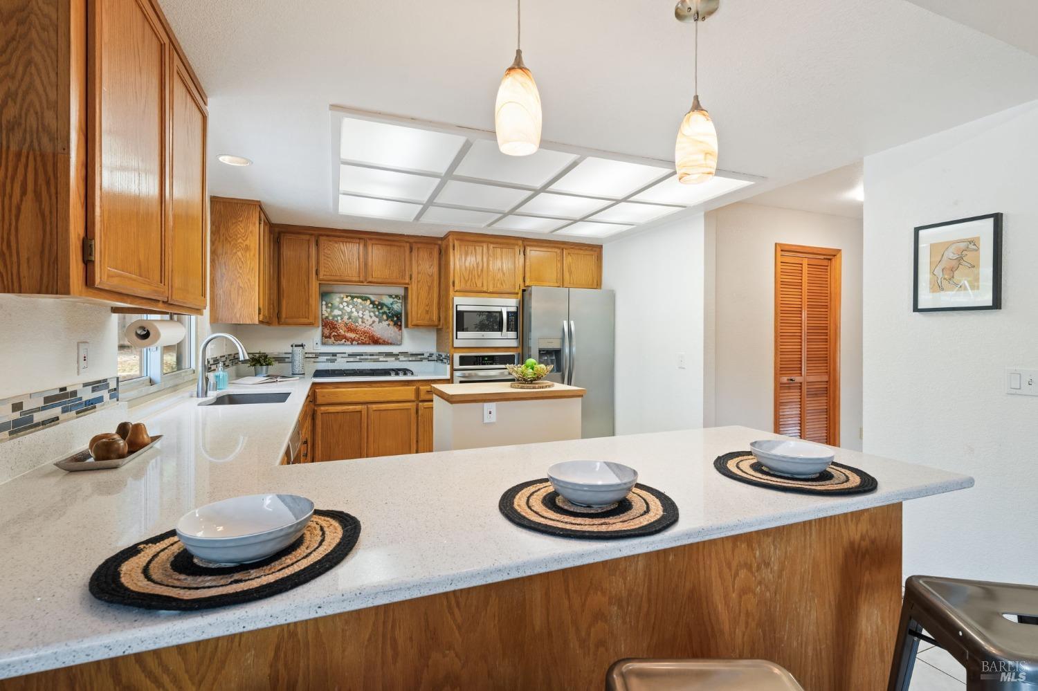 3897 Rock Springs Dr