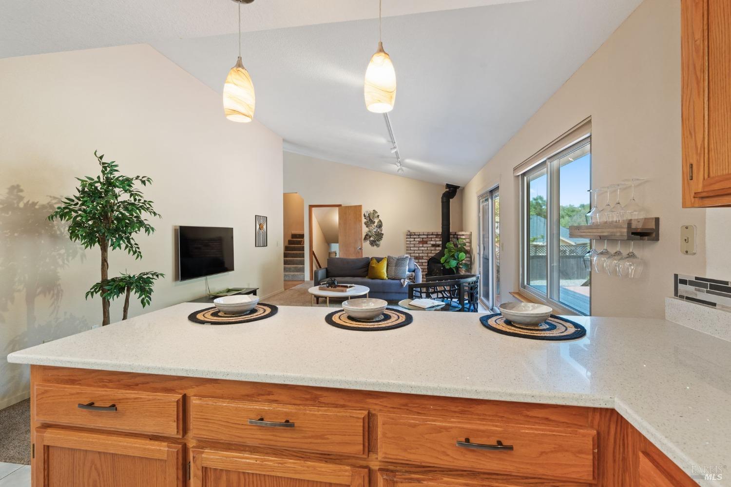 3897 Rock Springs Dr