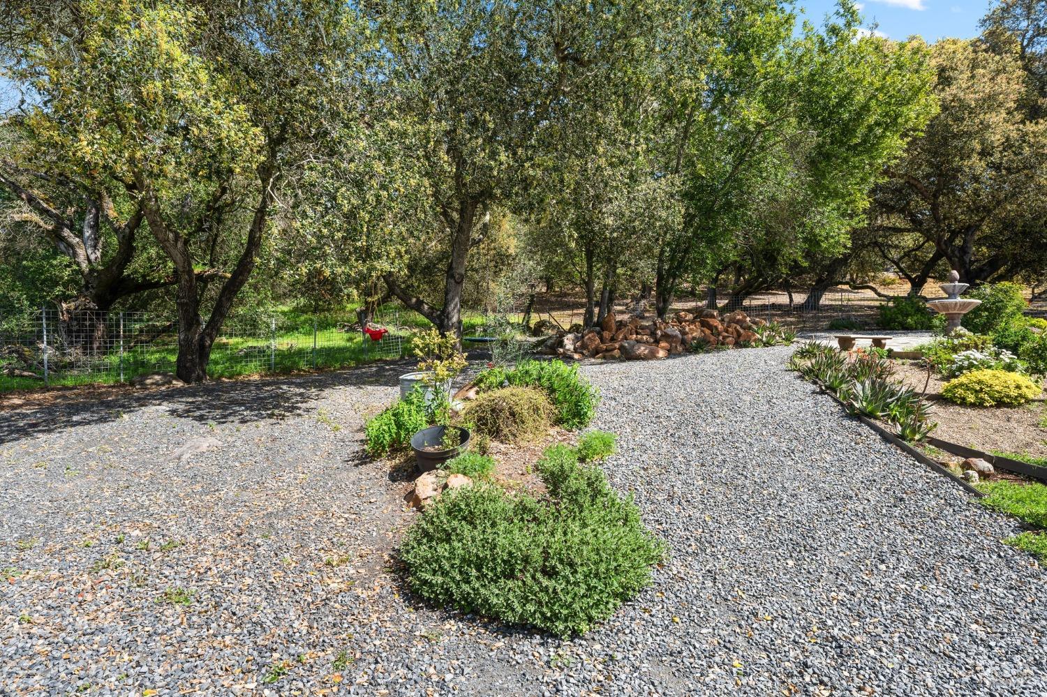 3897 Rock Springs Dr