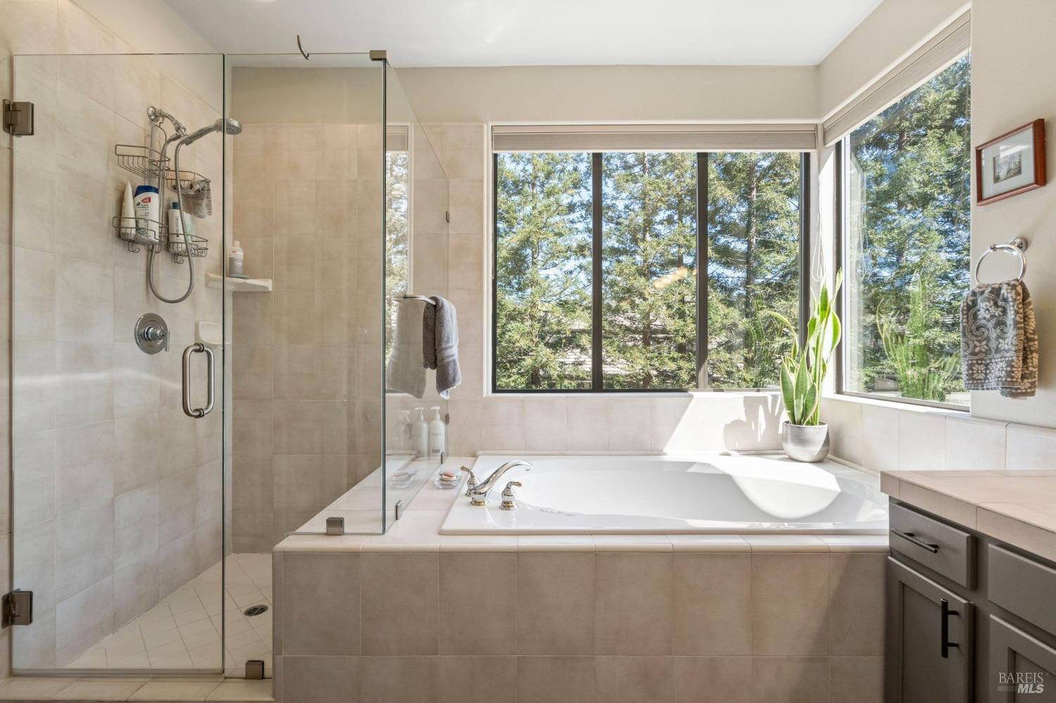 6458 Timber Springs Dr