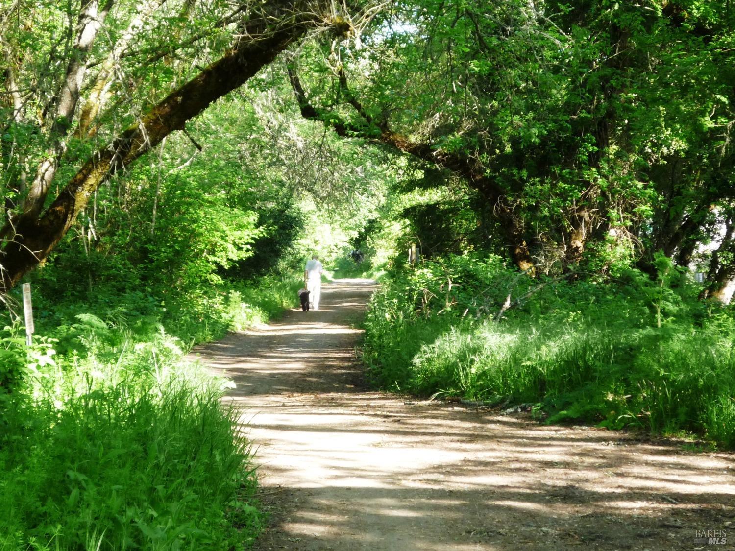 6458 Timber Springs Dr