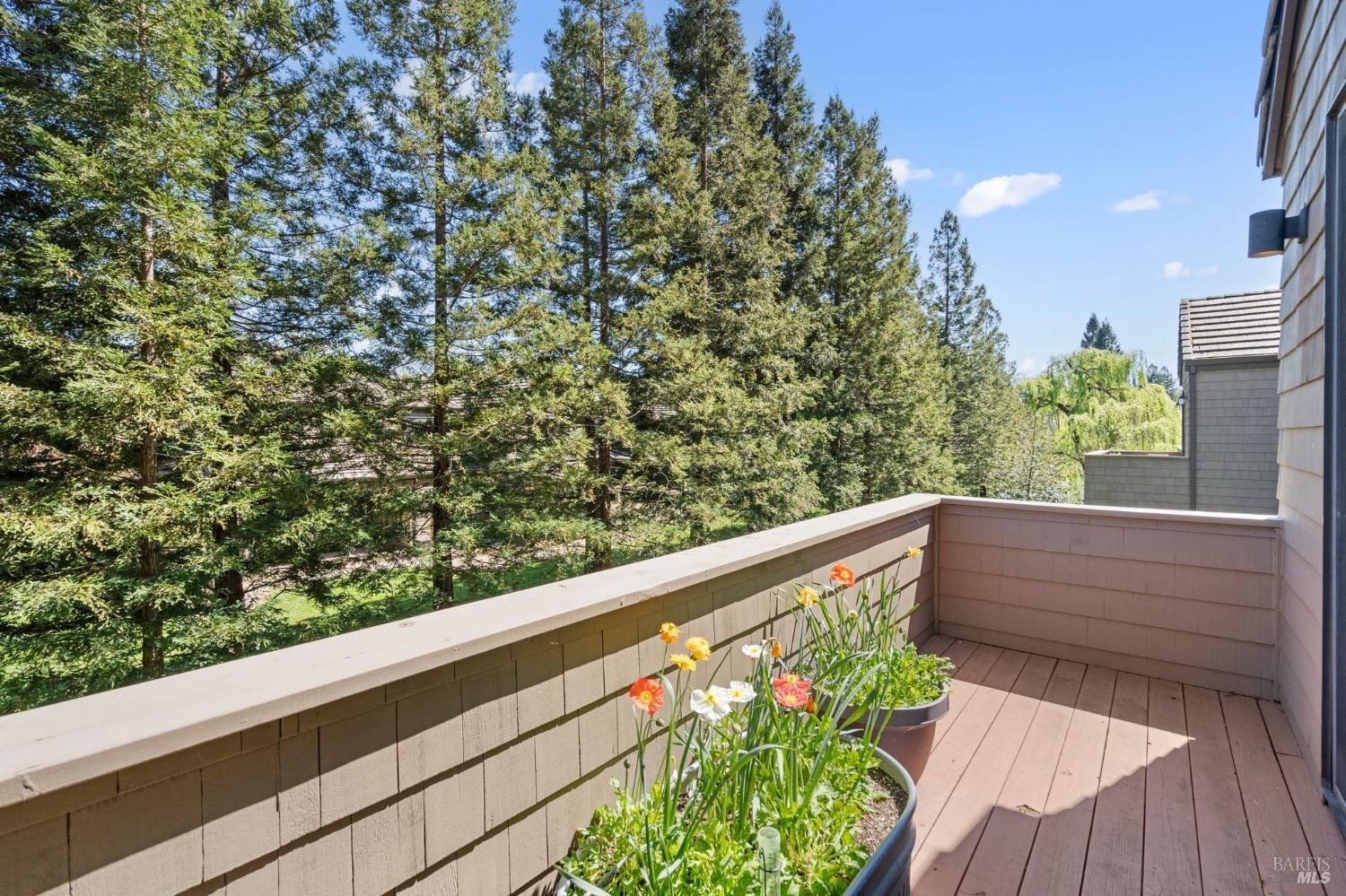 6458 Timber Springs Dr