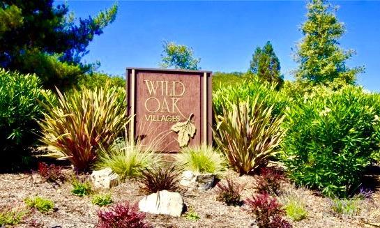 6458 Timber Springs Dr