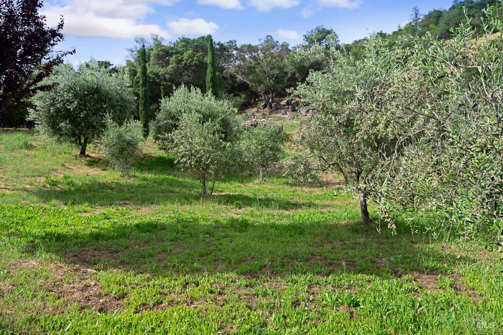 3979 Rolling Oaks Rd