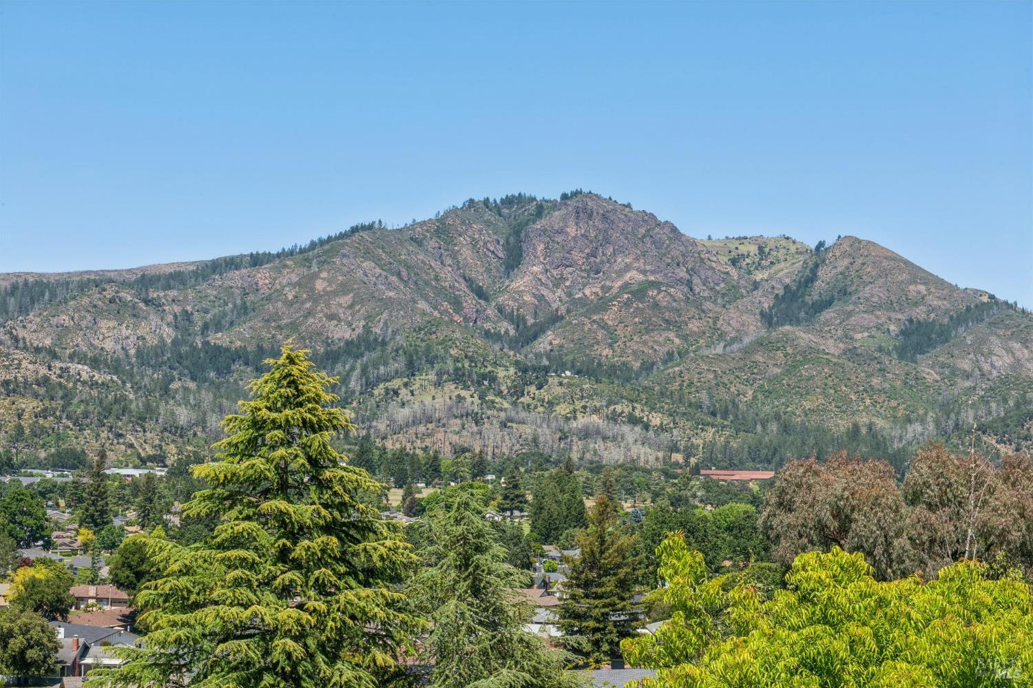 425 Oak Point Place