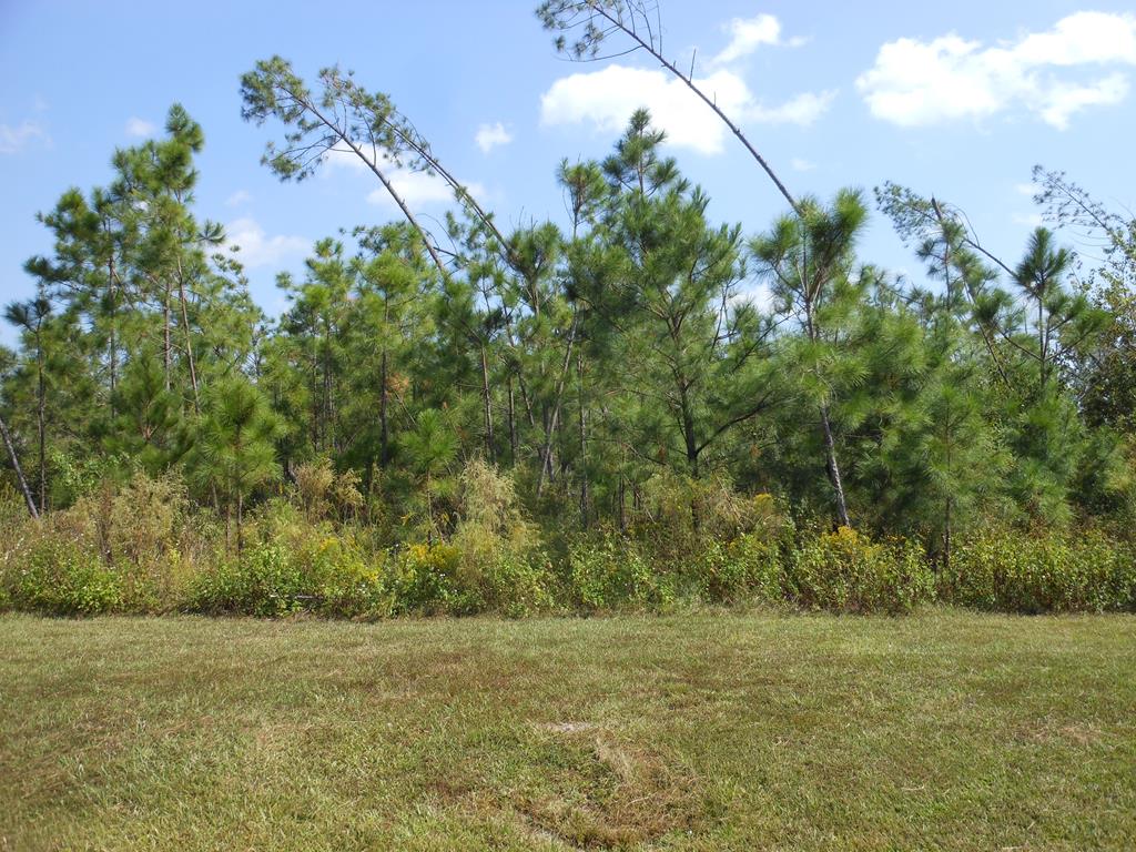 10 Wide Water Cir, 32465