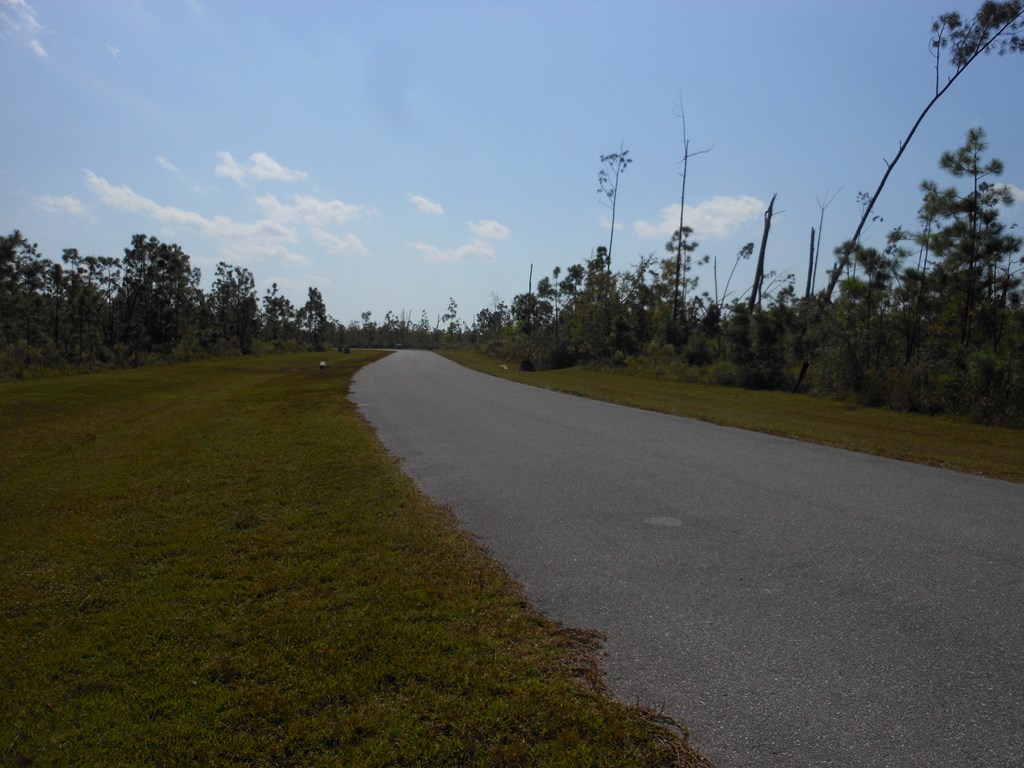 10 Wide Water Cir, 32465