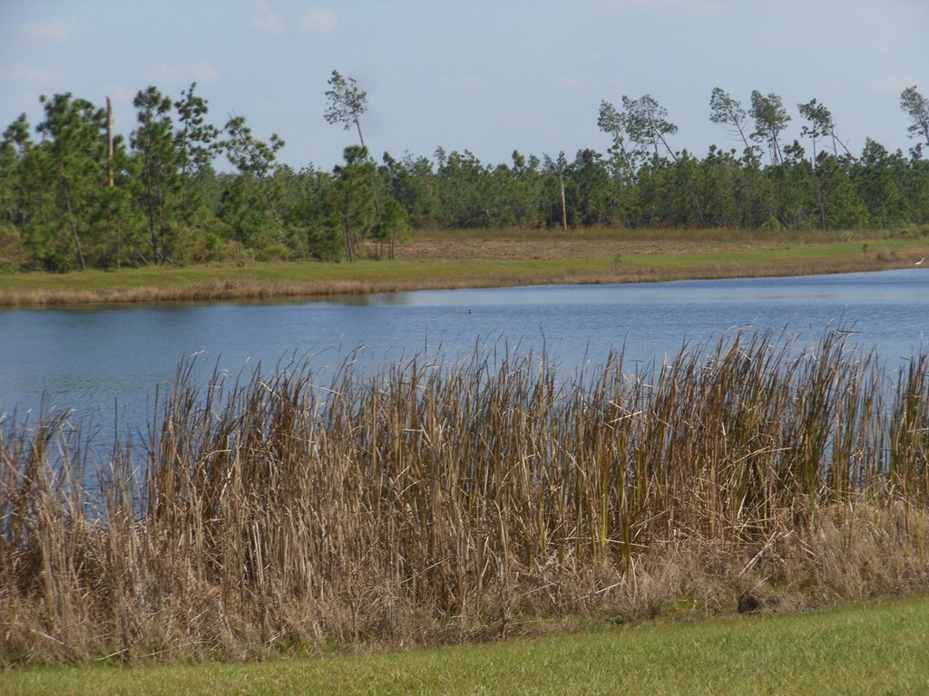 10 Wide Water Cir, 32465