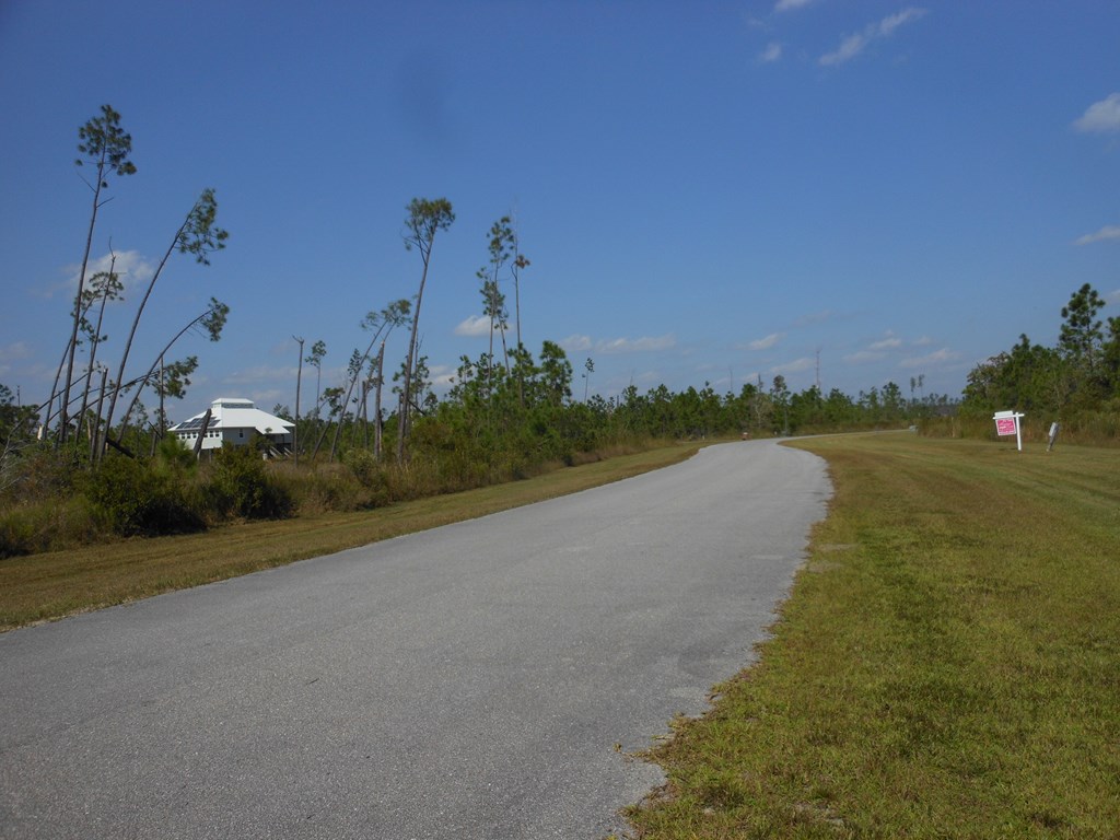 10 Wide Water Cir, 32465