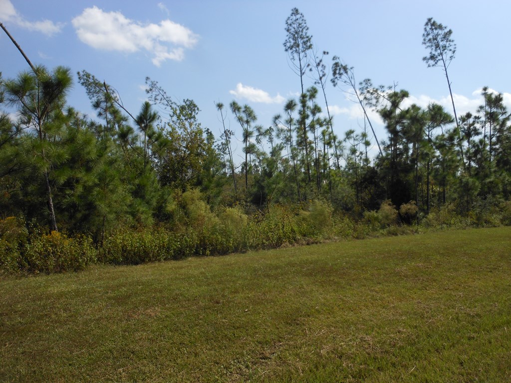 10 Wide Water Cir, 32465