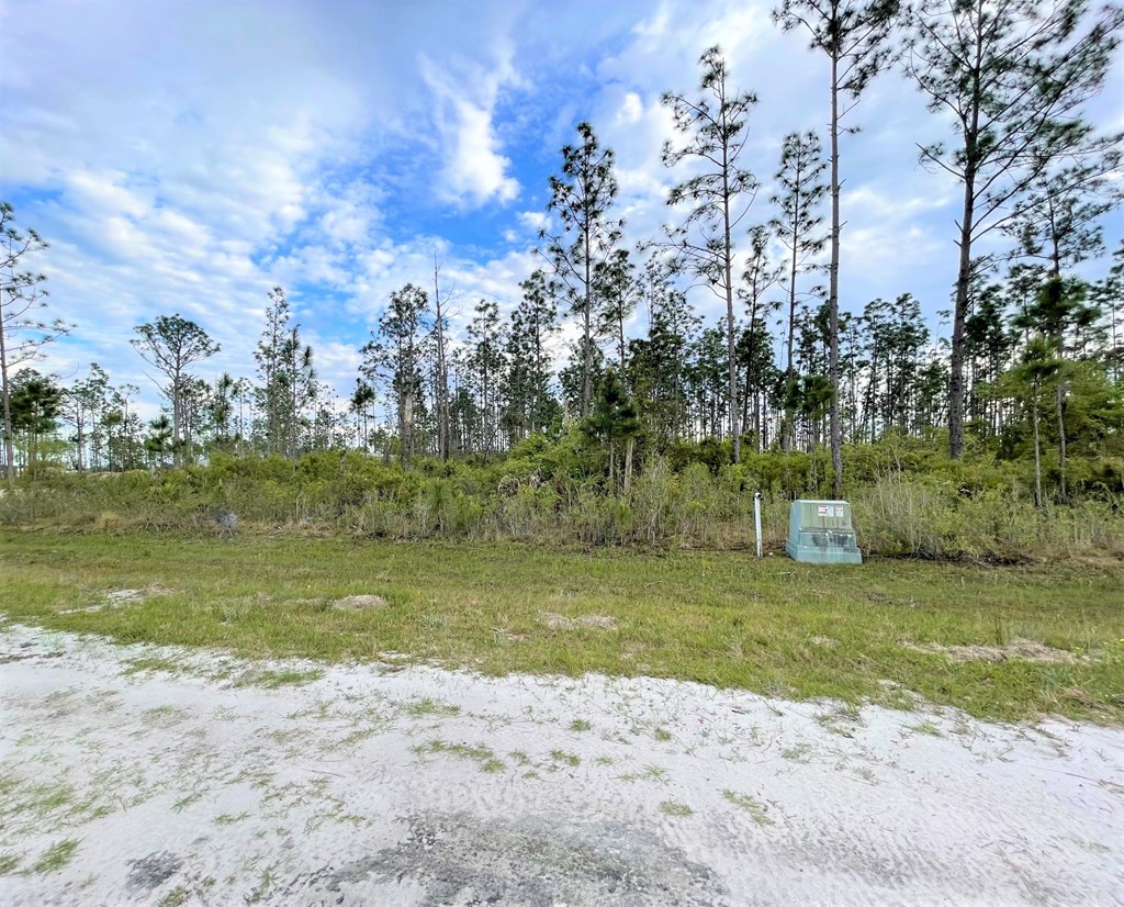 Lot 7 Chellsey St, 32465