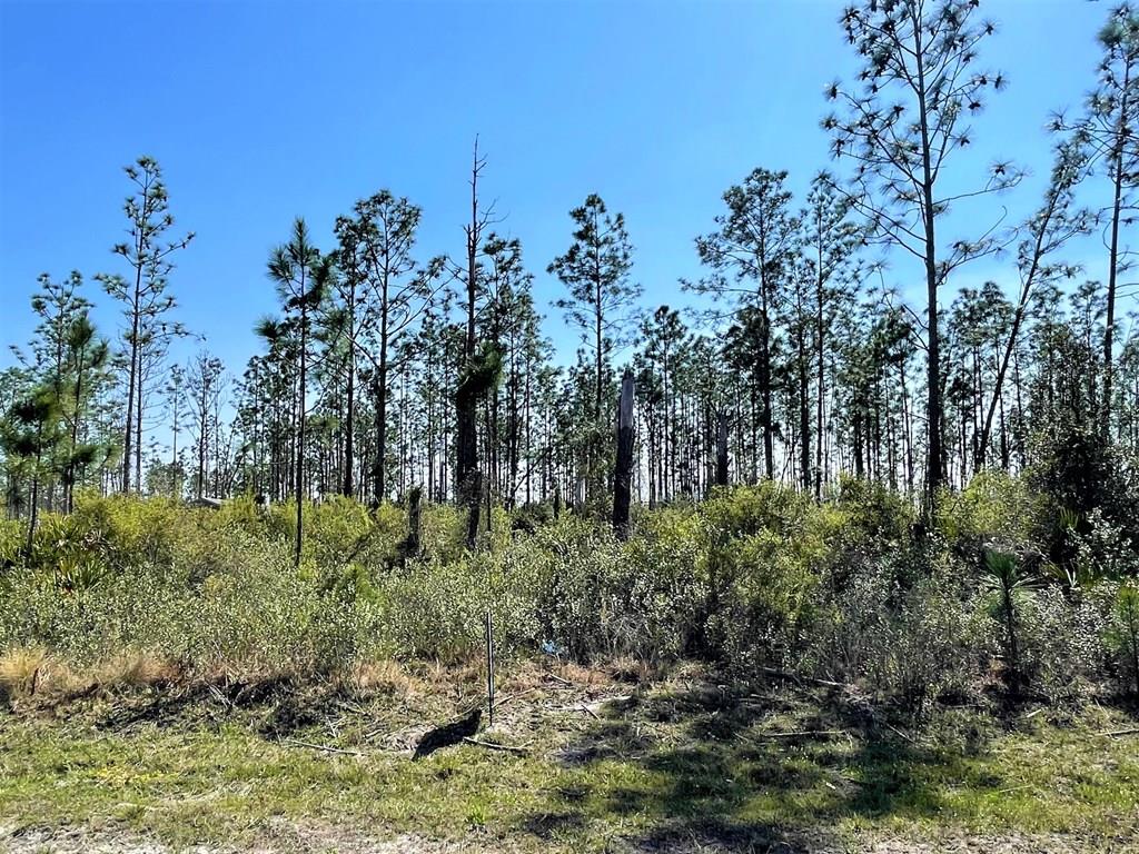 Lot 7 Chellsey St, 32465