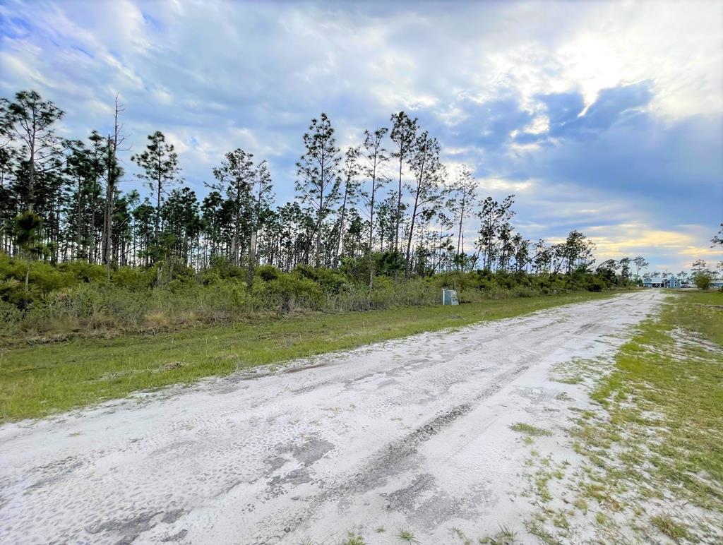 Lot 7 Chellsey St, 32465