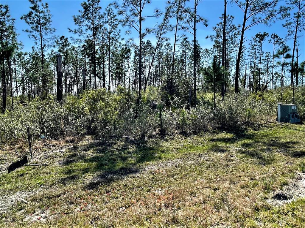 Lot 7 Chellsey St, 32465