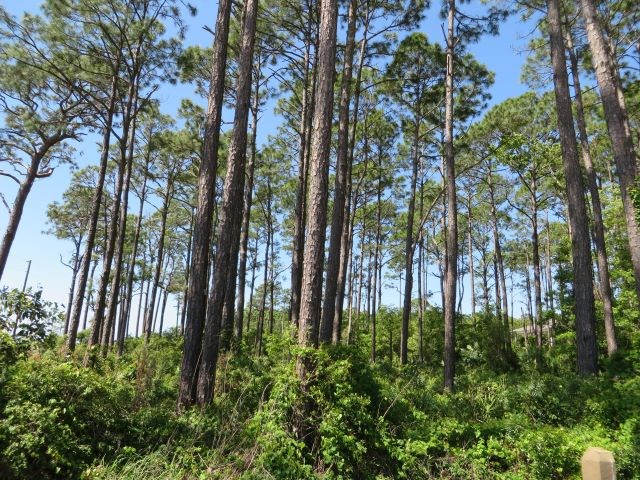 883 Hwy 98, 32328