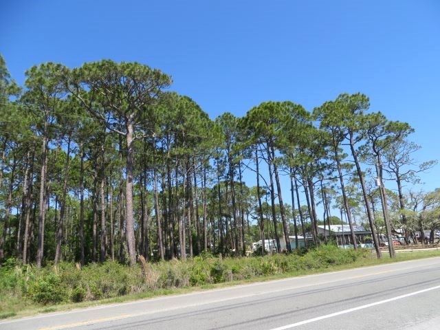 883 Hwy 98, 32328