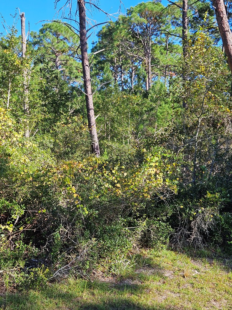1008 Sunset Cir, 32322