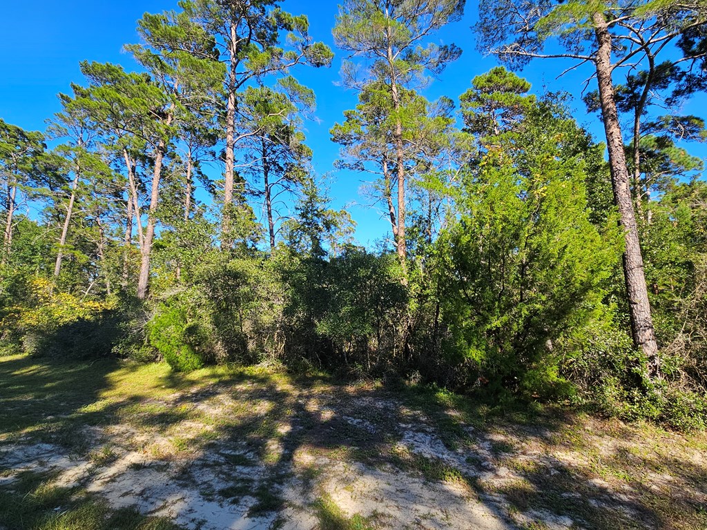 1008 Sunset Cir, 32322