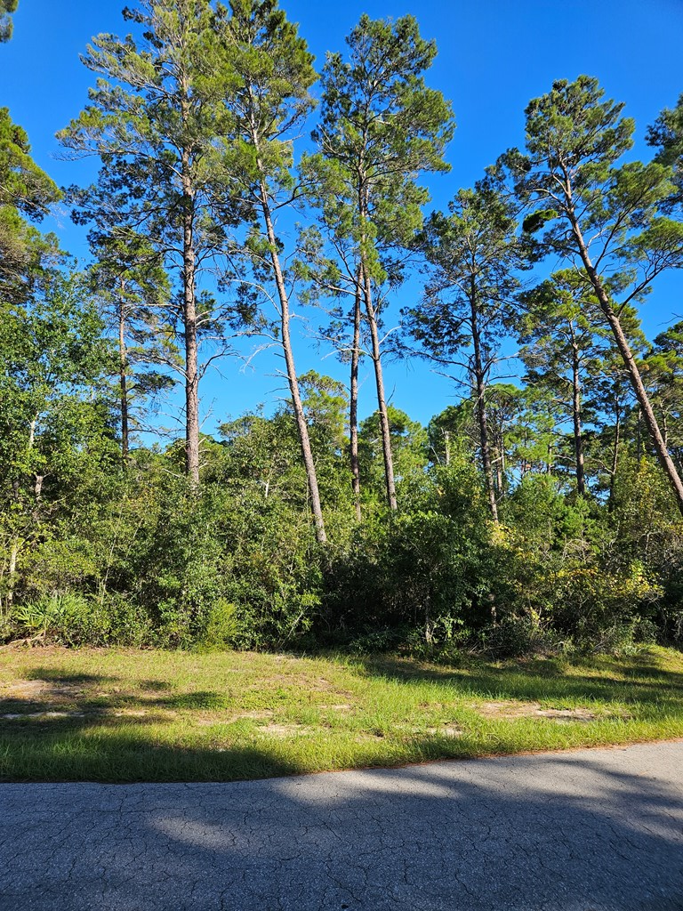 1008 Sunset Cir, 32322
