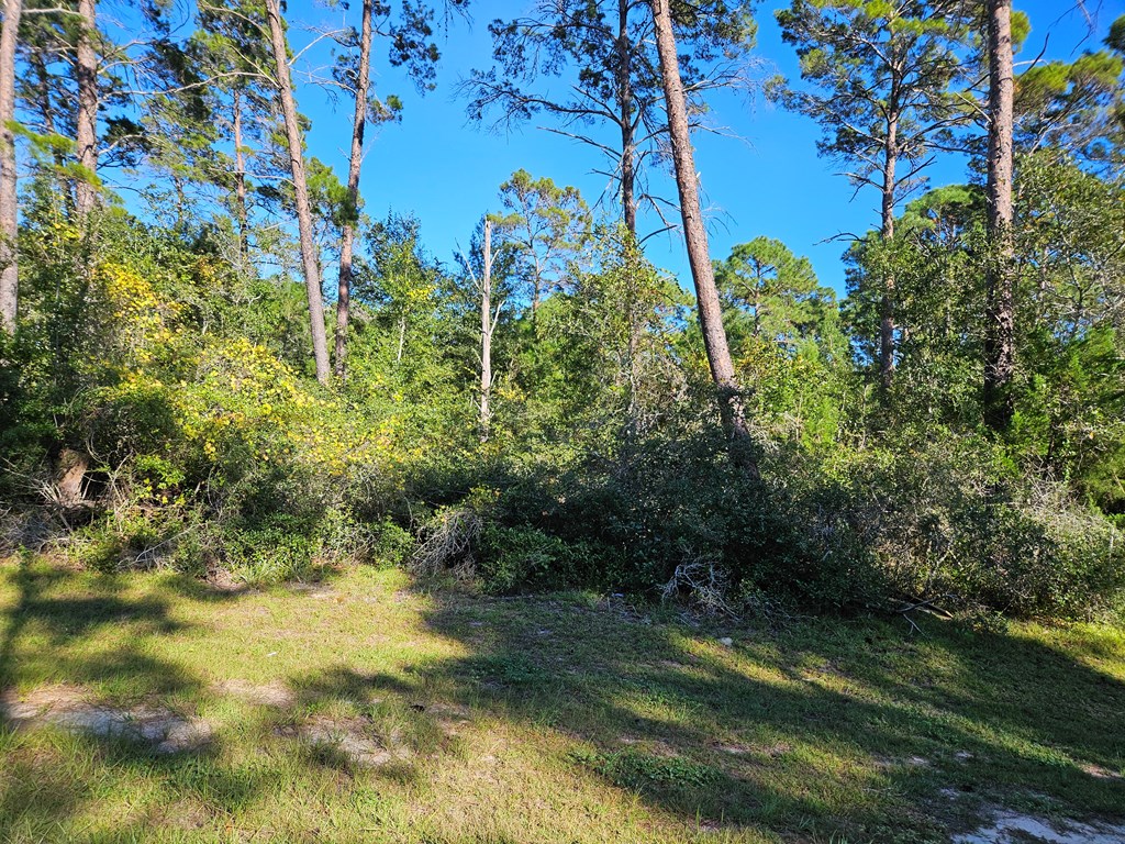 1008 Sunset Cir, 32322