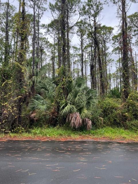 541 E Pine Ave, St. George Island 32328