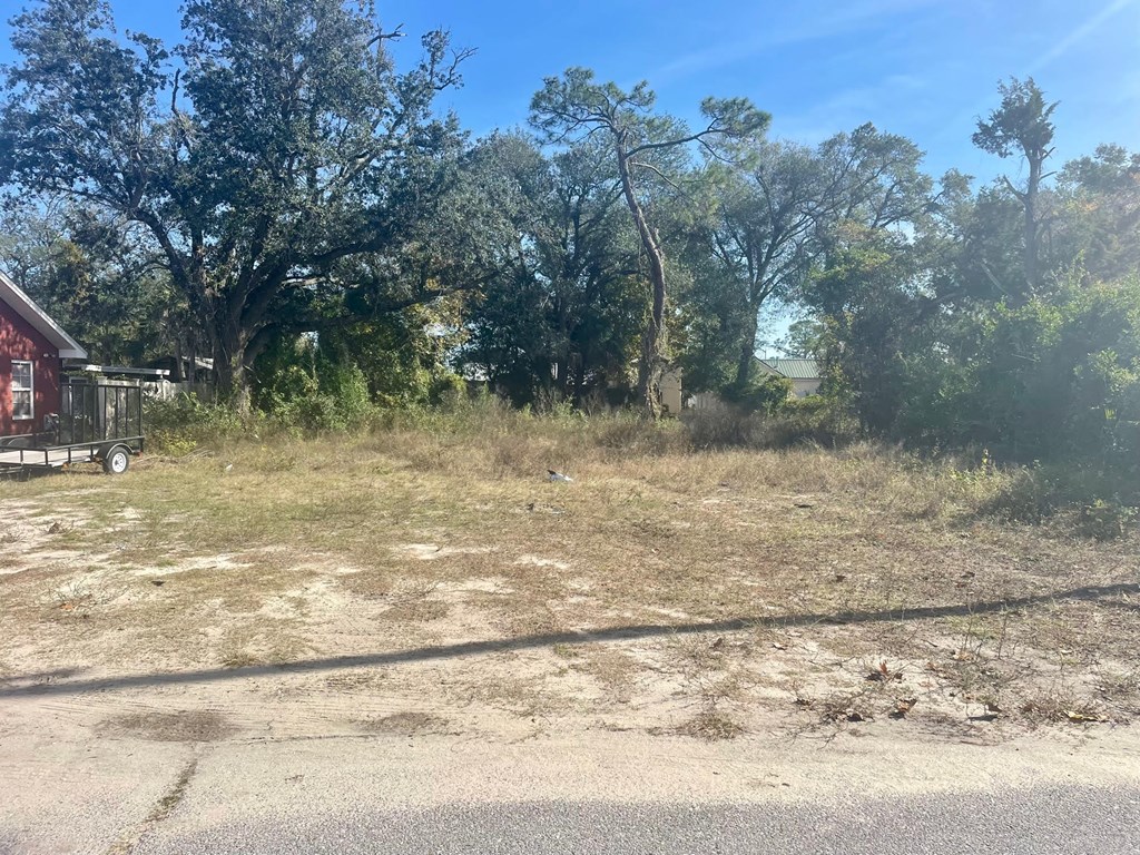 1906 Louise Ave, 32405