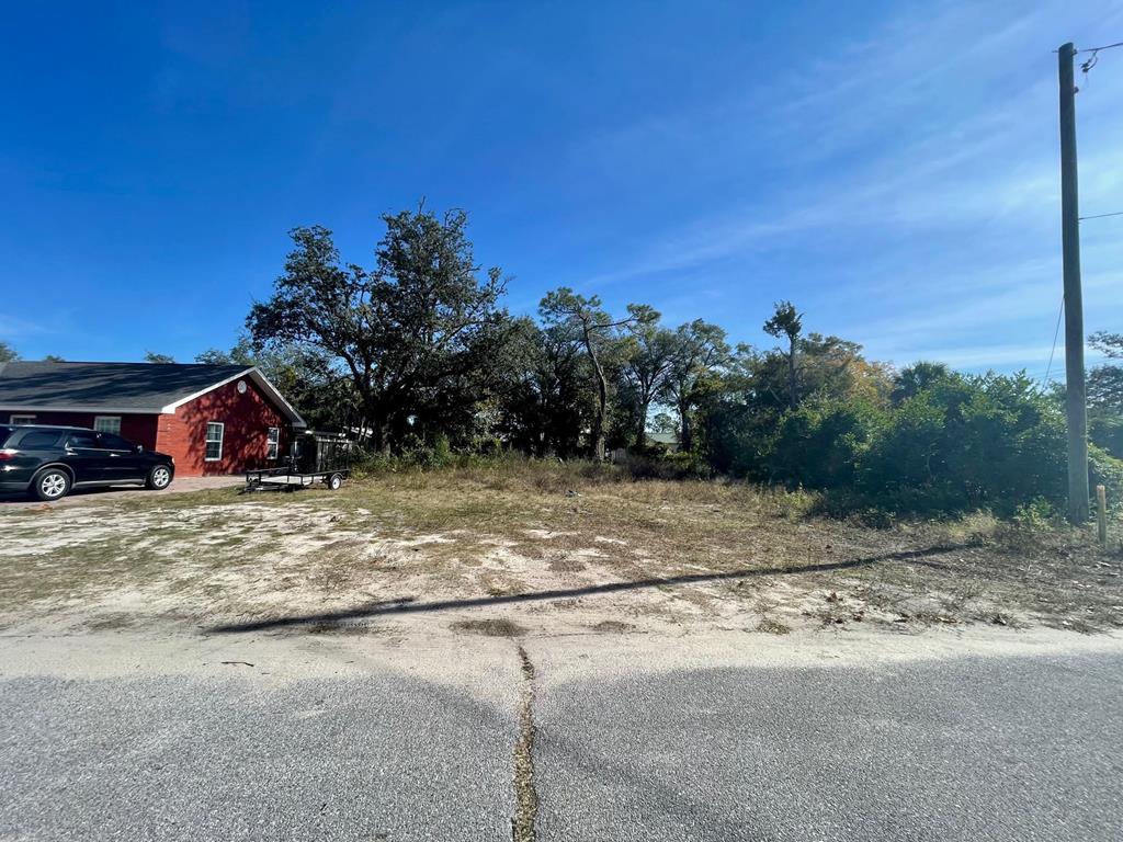 1906 Louise Ave, 32405